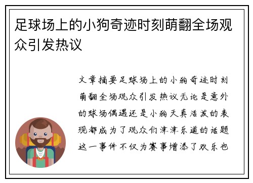 足球场上的小狗奇迹时刻萌翻全场观众引发热议